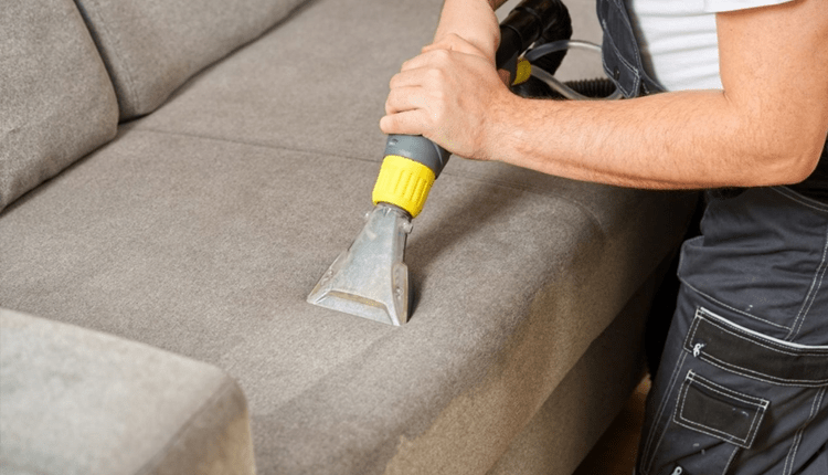 professional rug cleaning