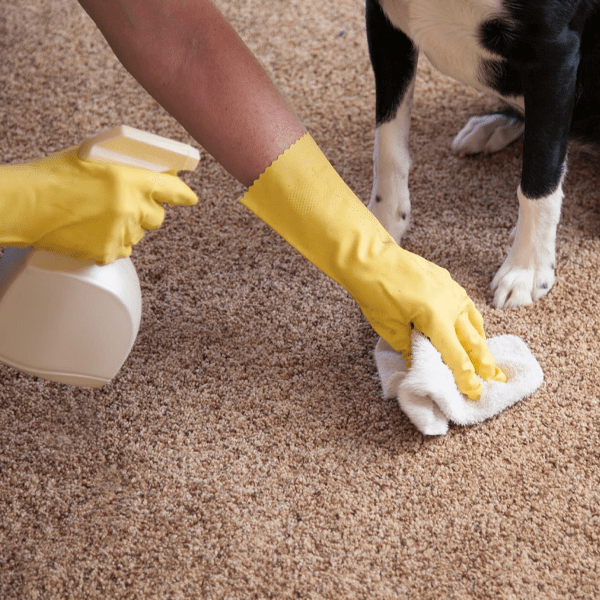 Grout cleaning