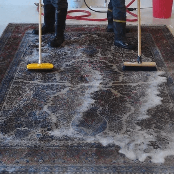 Carpet cleaners